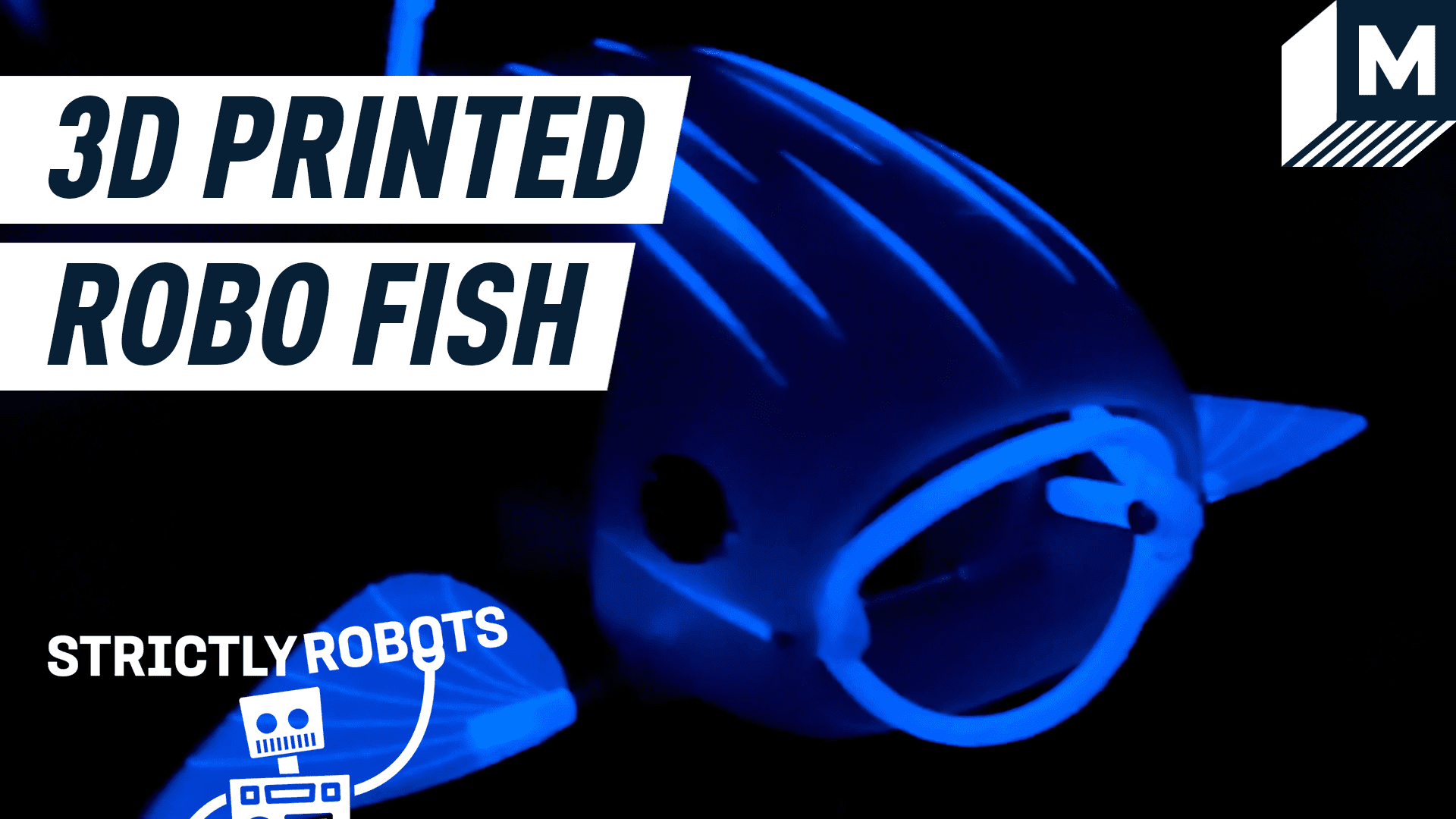 Karanlıkta parlayan bir robot balık