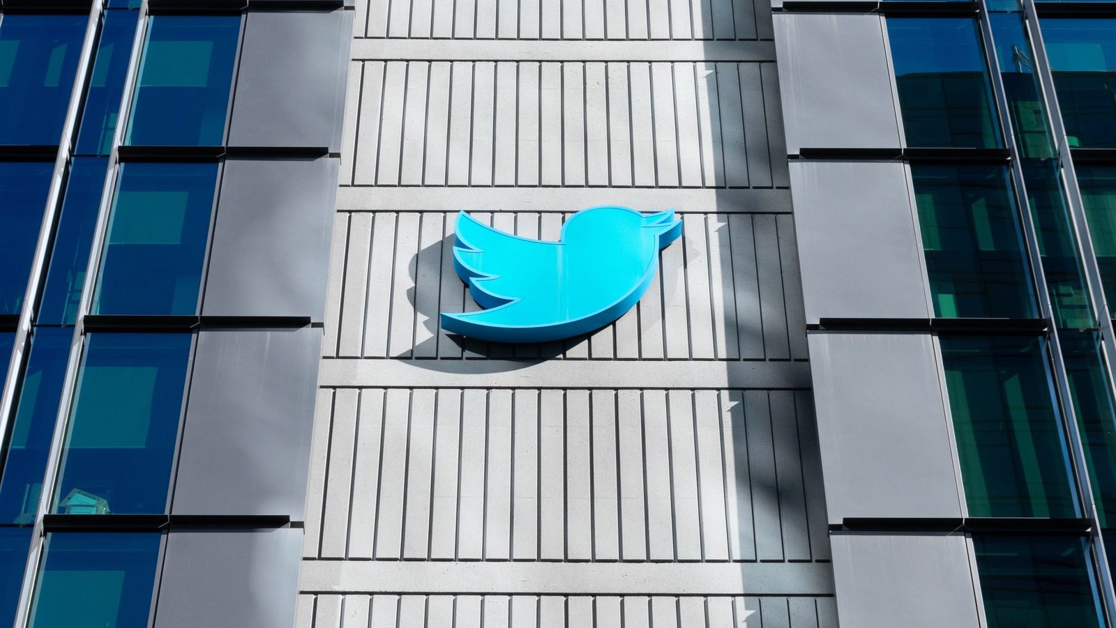 Yeni Rapor, FTC’nin Musk’ın Twitter Devralmasını Neden Takip Ettiğine Işık Tutuyor