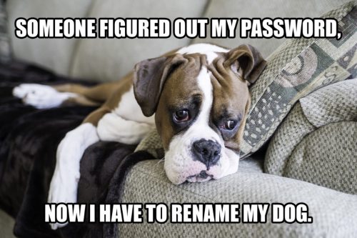 köpek şifresi