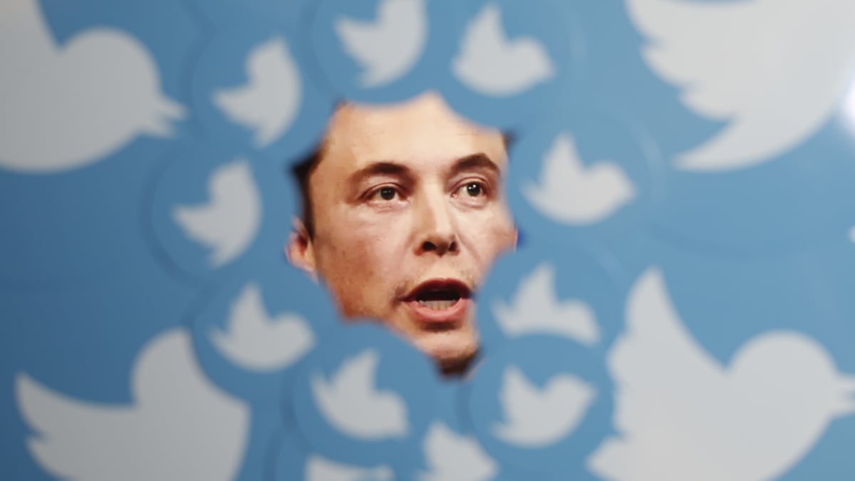 Elon Musk’ın 8 dolarlık Twitter Blue’su şu ana kadar çok fazla para kazanmadı