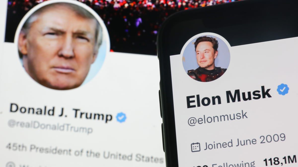 İşte Elon Musk’ın şimdiye kadar engellemesini kaldırdığı Twitter hesapları