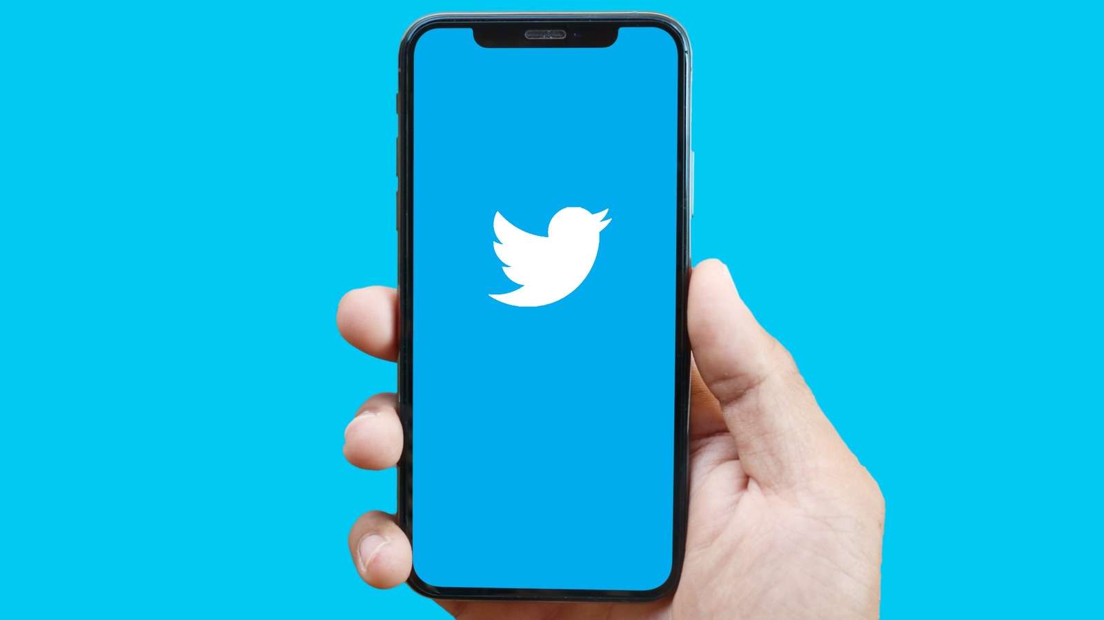 Twitter Blue Geri Tepebilir ve Bu, Ücretsiz Erişimin Sonu anlamına gelebilir