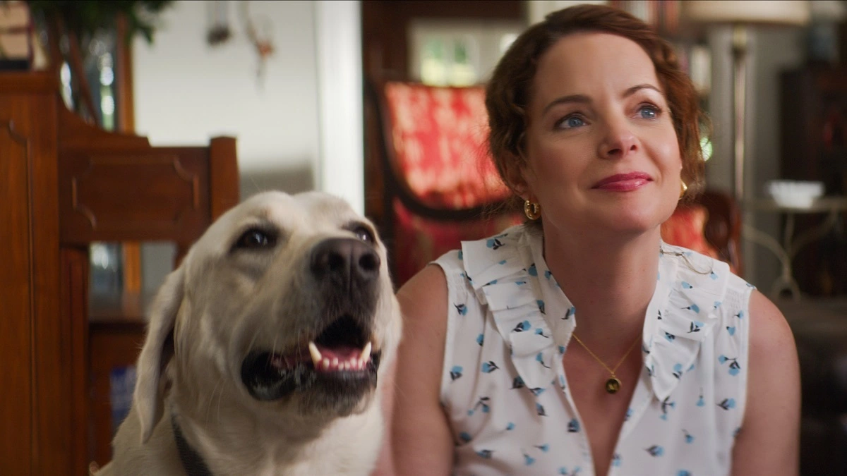 Bir Köpeğin İç Açıcı Gerçek Hikayesi Netflix İlk 10’da Evini Buluyor