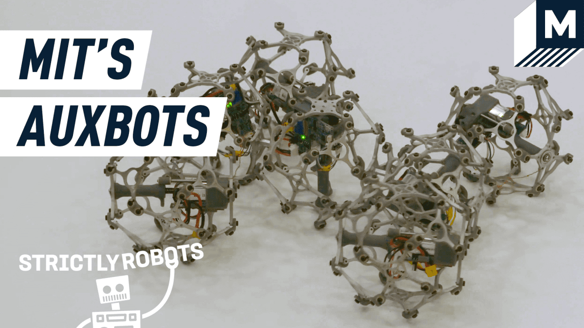 MIT’nin Auxbot’ları tipik modüler robotlarınız değil