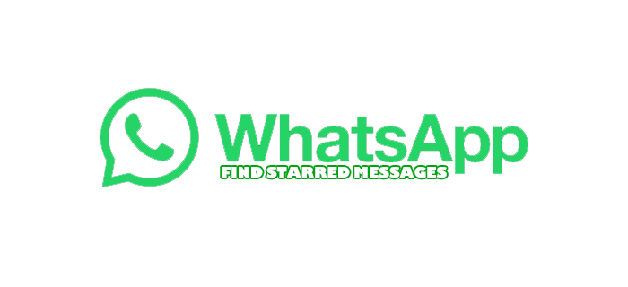WhatsApp’ta Yıldızlı Mesajlar Nasıl Bulunur?