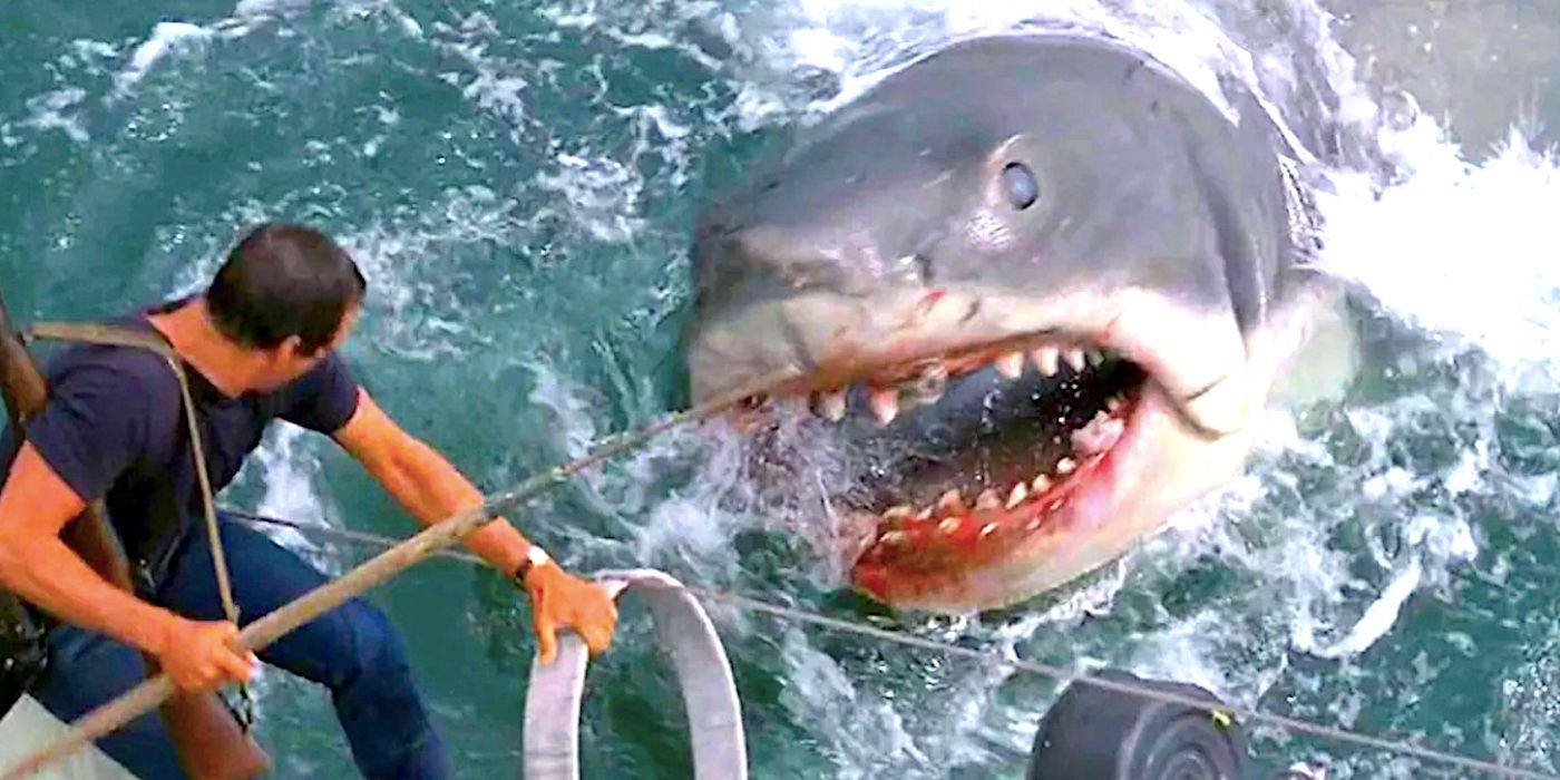 Steven Spielberg, İkonik Bir Jaws Ölüm Sahnesinin Neredeyse Çok Daha Uzun Olduğunu Söyledi: “Çok Kanlıydı”