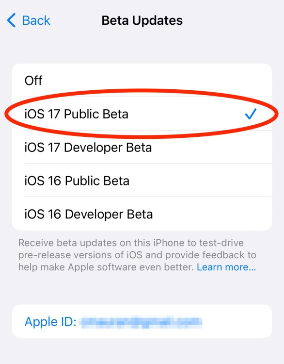 iOS 17 genel beta, bir iPhone'daki beta güncellemeleri sayfasında kontrol edin