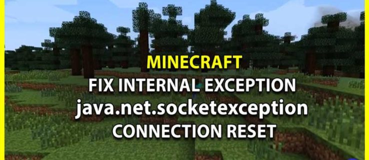 Minecraft’ta İnternet İstisnası java.net.socketexception Bağlantı Sıfırlama Nasıl Onarılır