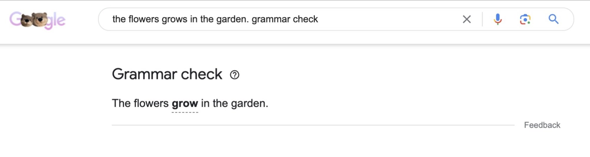 Google'da bir gramer kontrolü örneği. 