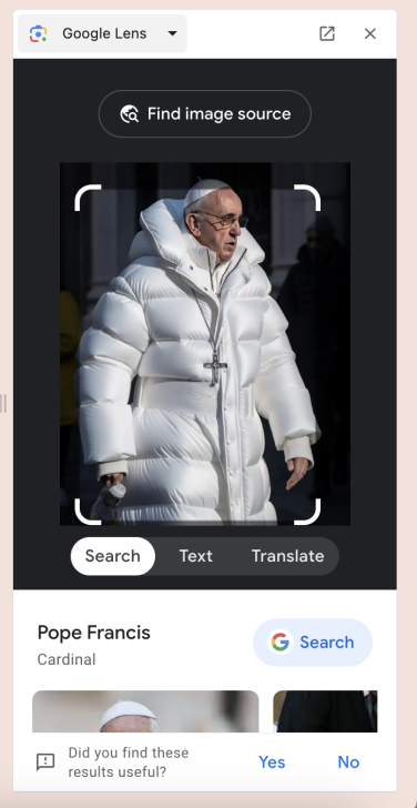 Papa'nın görselini vurgulayan Google görsel arama aracı.