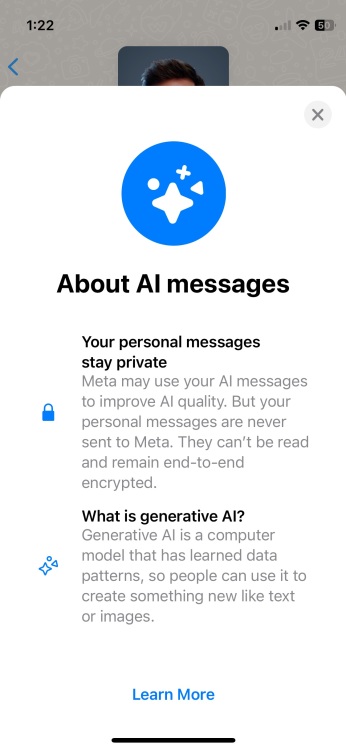 Meta'nın hangi verileri kullandığına ve mesajların uçtan uca şifrelendiğine ilişkin bir sorumluluk reddi beyanını gösteren WhatsApp ekranı. 