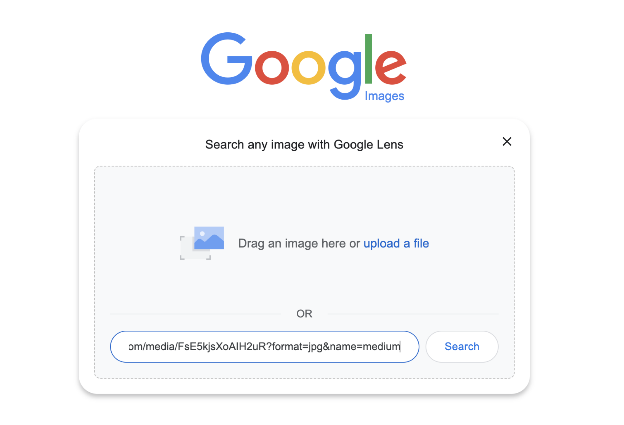 Images.google'ın, fotoğraf yükleme bölümüne yapıştırılan bağlantıyı gösteren ekran görüntüsü.
