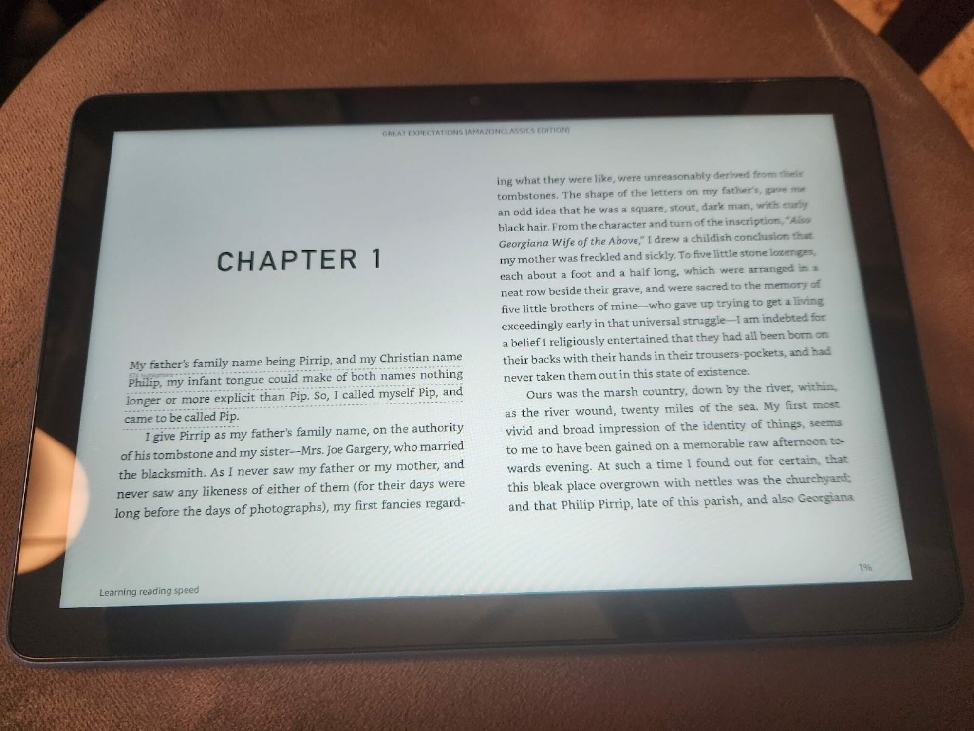 Kindle uygulaması ateşle ilgili bir kitaba açık hd 10 tablet