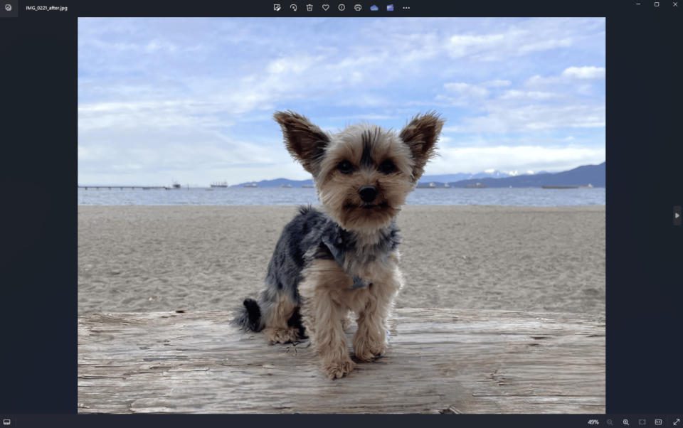 Microsoft, üretken yapay zeka destekli silgiyle Windows Fotoğraflar’a destek veriyor