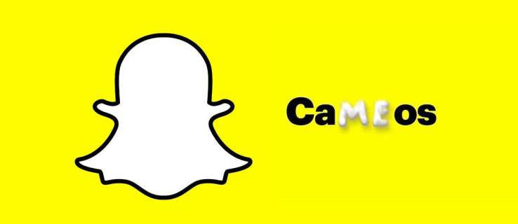 Uygulamada Görünmeyen Snapchat Cameos Nasıl Onarılır